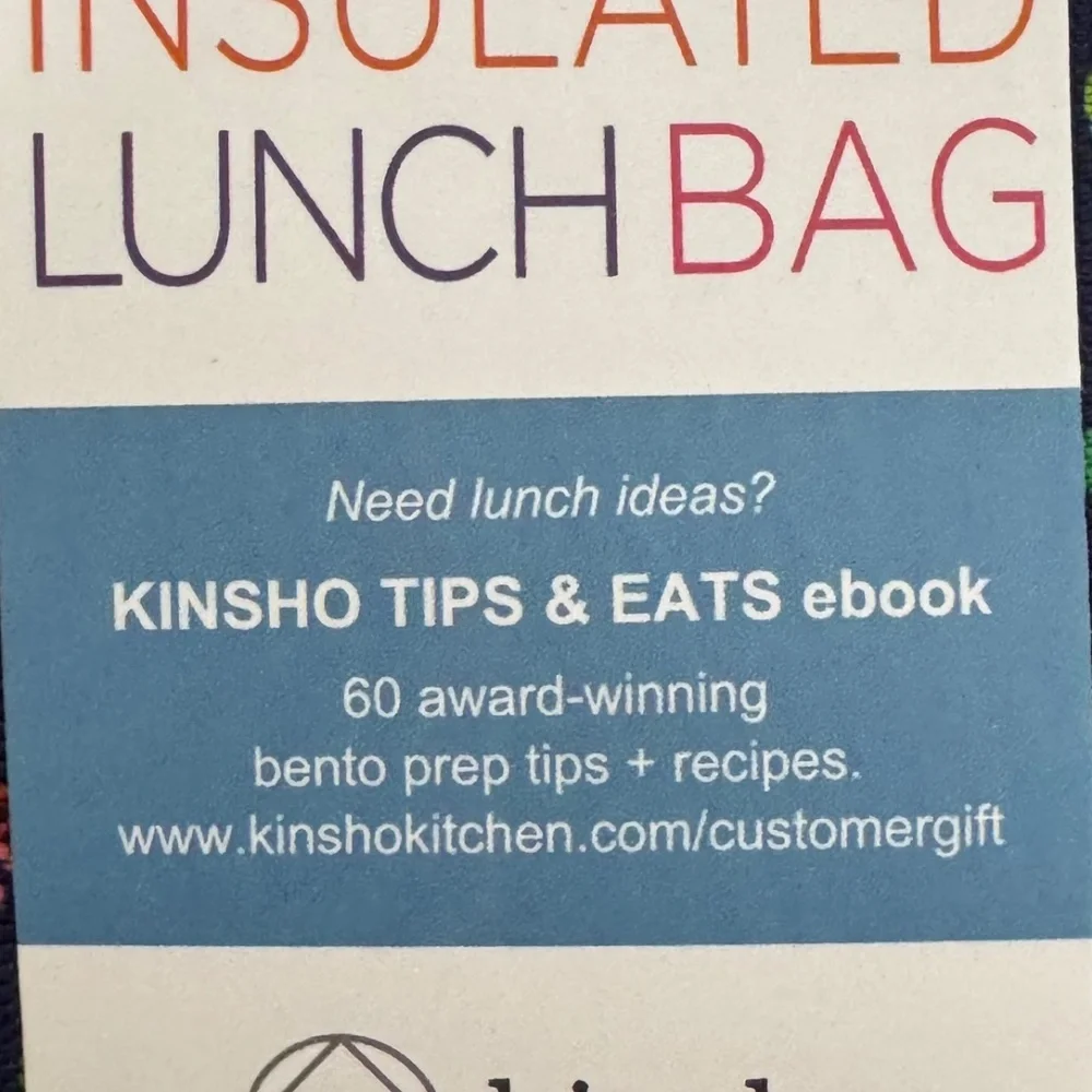 Kinsho Bento Blue Orange Dinosaur Insulated Lining Lunch Box Thermo Ice Pack NEW